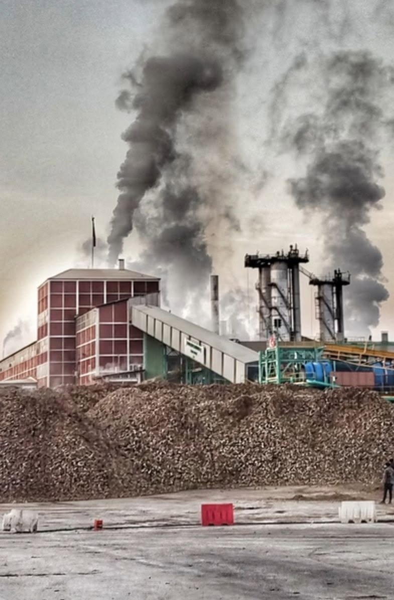 Amasya Şeker Fabrikası İçin Alarm Zilleri: İşçiler Geleceklerinden Endişeli