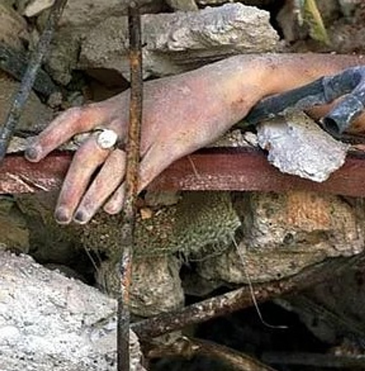 Eğitimci Yazar Hayri Bostan Yazısı: Orada Canlarımız